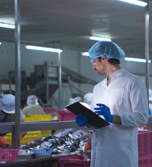 Turnkey Solutions Turnkey Solutions